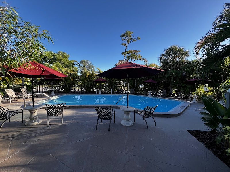 Clearwater / Lake Tarpon KOA Holiday photo 3
