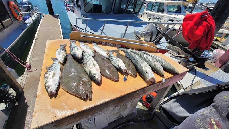 Golden State Sportfishing photo 3
