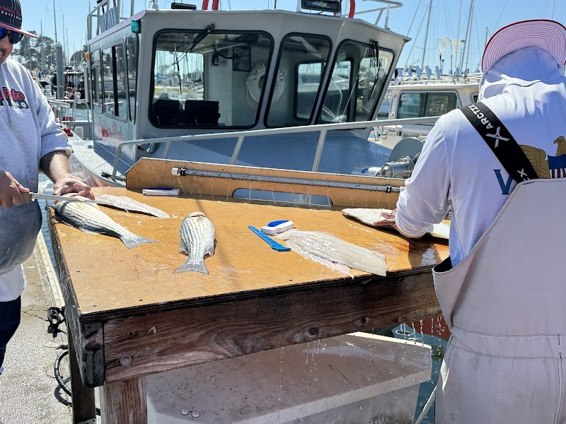 Golden State Sportfishing photo 4