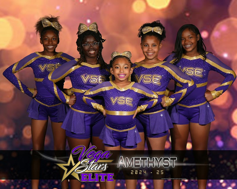 Photo of Vega Stars Elite
