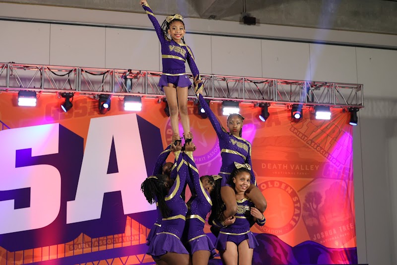 Vega Stars Elite photo 5
