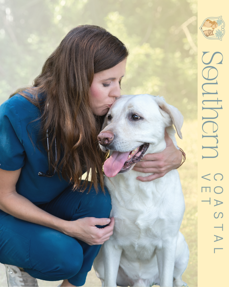 Photo of Southern Coastal Vet