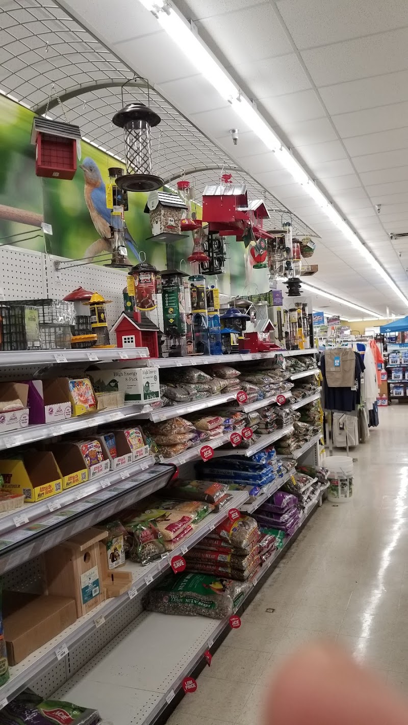 Vision Ace Hardware photo 3