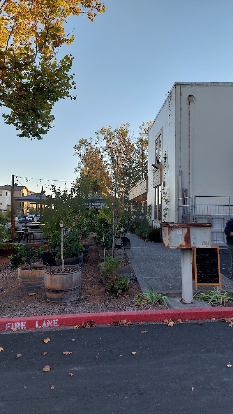 Chava's Pizza photo 3