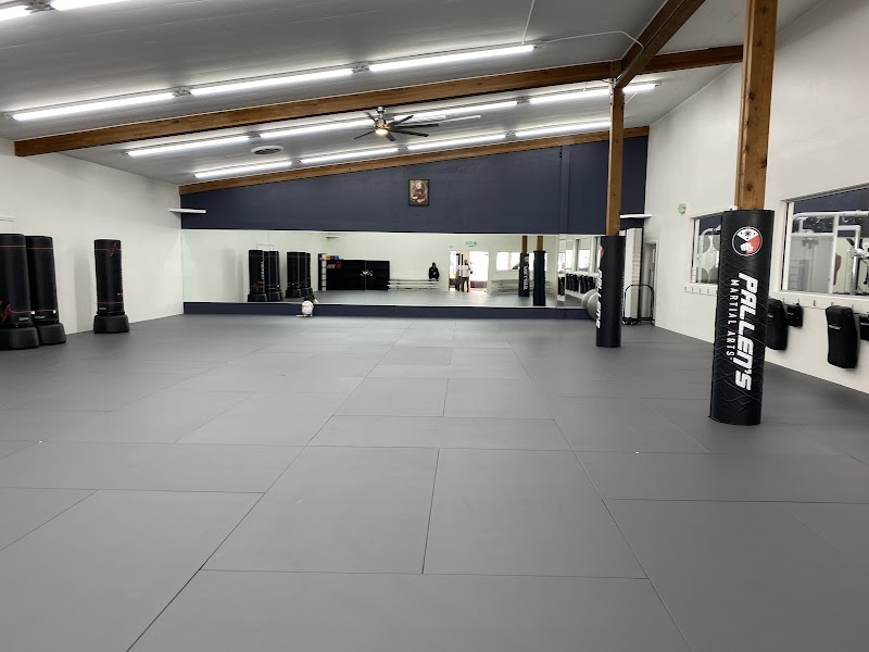 Pallen's Martial Arts photo 2