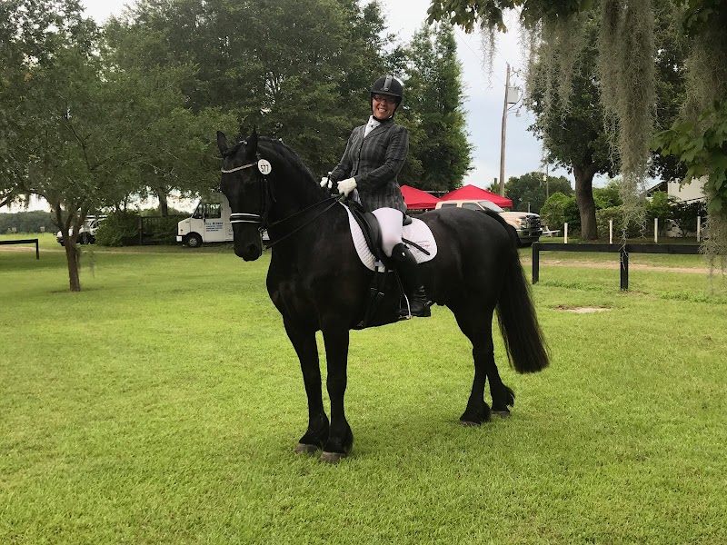 Under The Oaks Equestrian Center photo 4