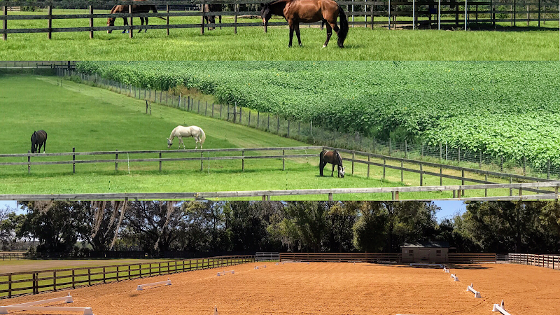 Photo of Under The Oaks Equestrian Center