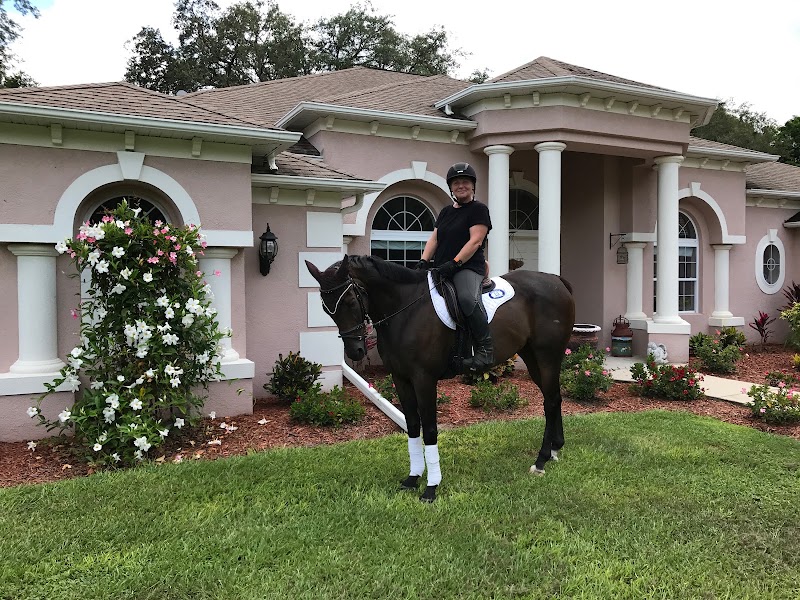 Under The Oaks Equestrian Center photo 5