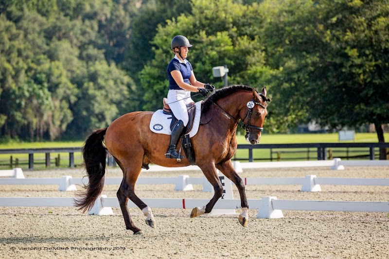 Under The Oaks Equestrian Center photo 3