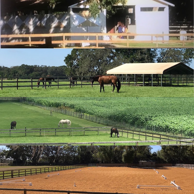 Under The Oaks Equestrian Center photo 2