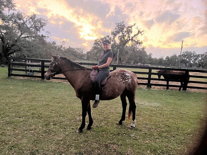 The Wild Horse Rescue Center photo 2