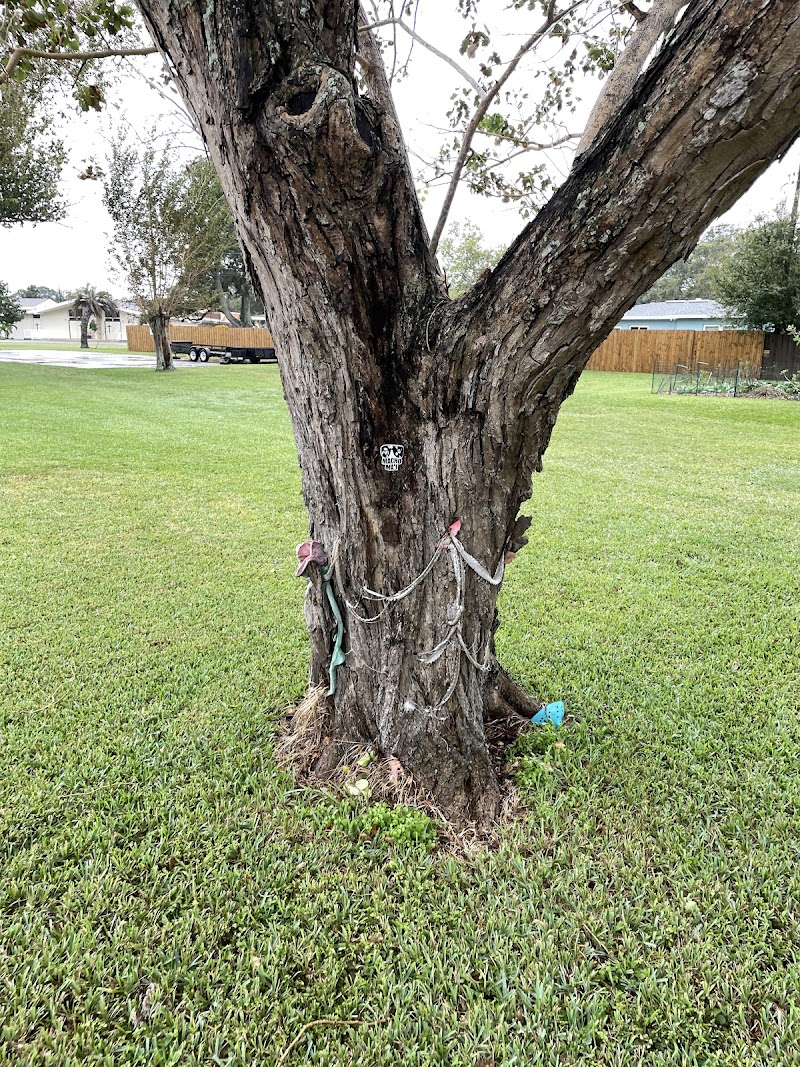 Randy “Macho Man” Savage Memorial Tree photo 5