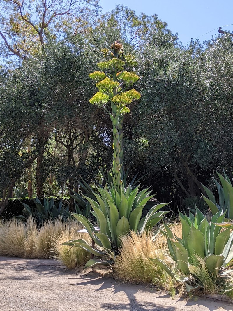 Cornerstone Art Gardens photo 4