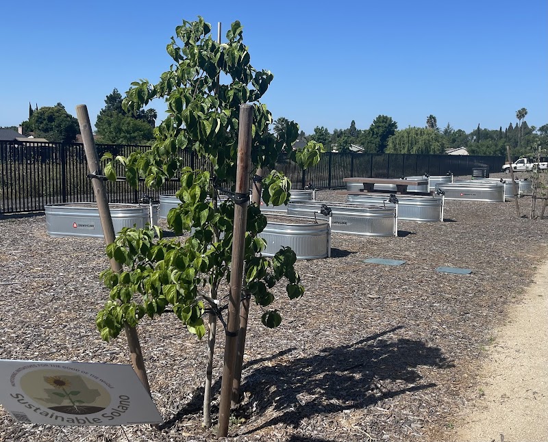 Prosperity Garden Park photo 3