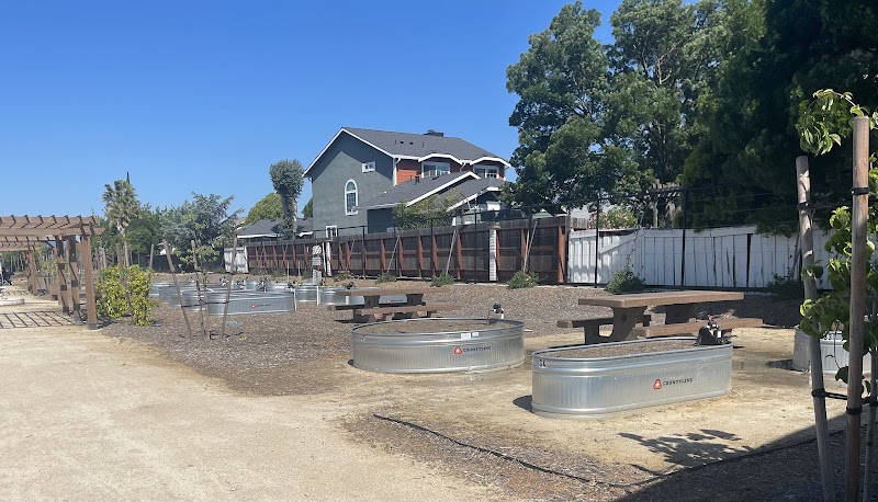 Prosperity Garden Park photo 4