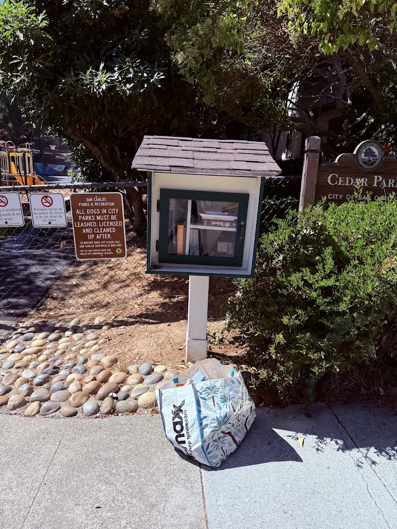 Photo of Little Free Library