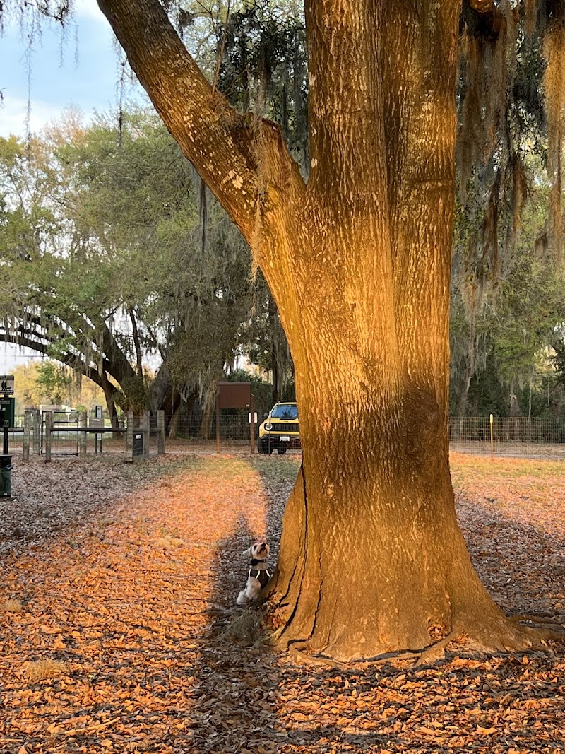 BarkPark of Wildwood photo 5