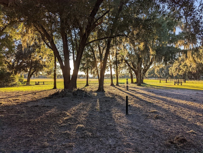Photo of BarkPark of Wildwood