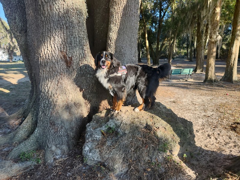 BarkPark of Wildwood photo 3