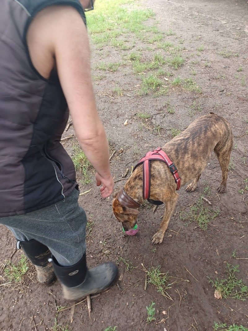BarkPark of Wildwood photo 2