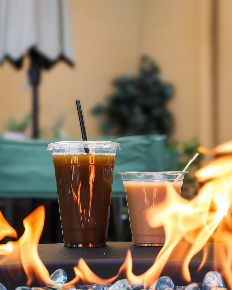 Tribe Tea House and Kava Bar photo 2