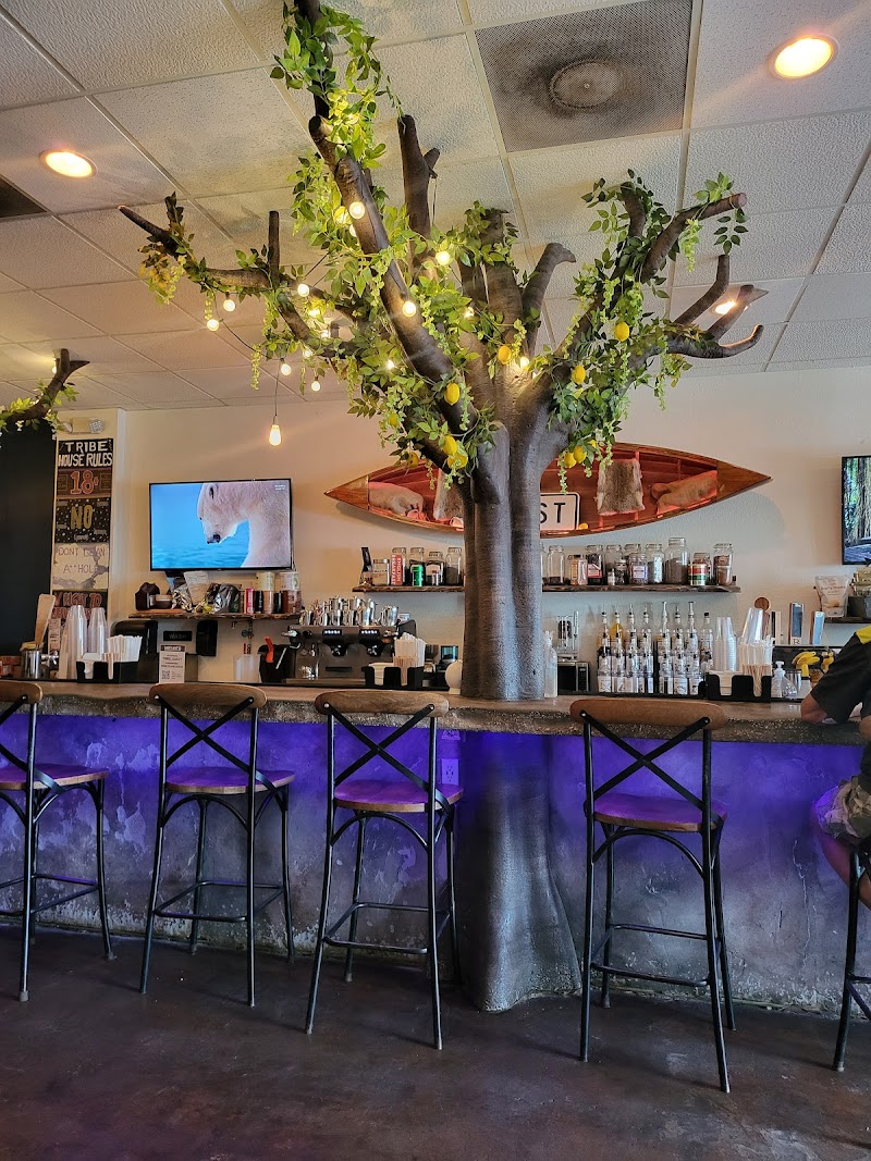 Tribe Tea House and Kava Bar photo 4