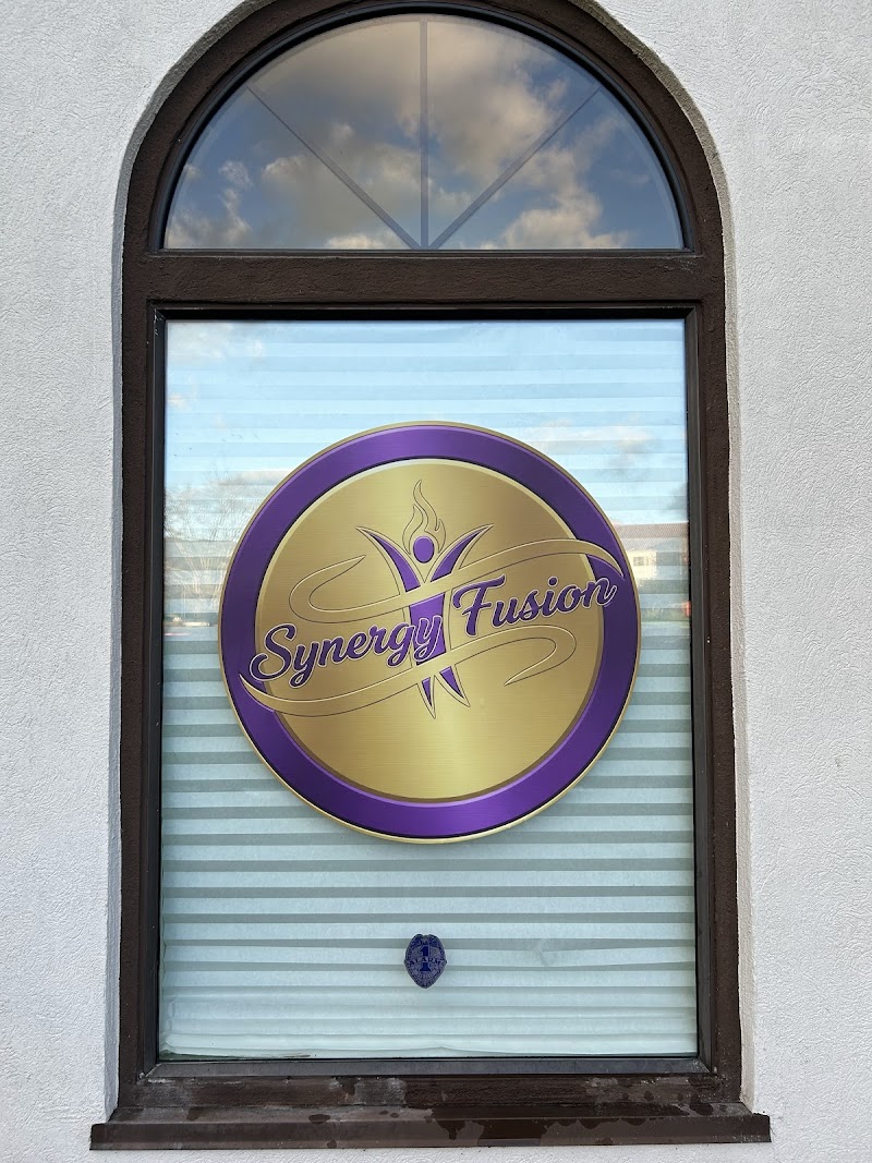 SynergyFusion photo 5