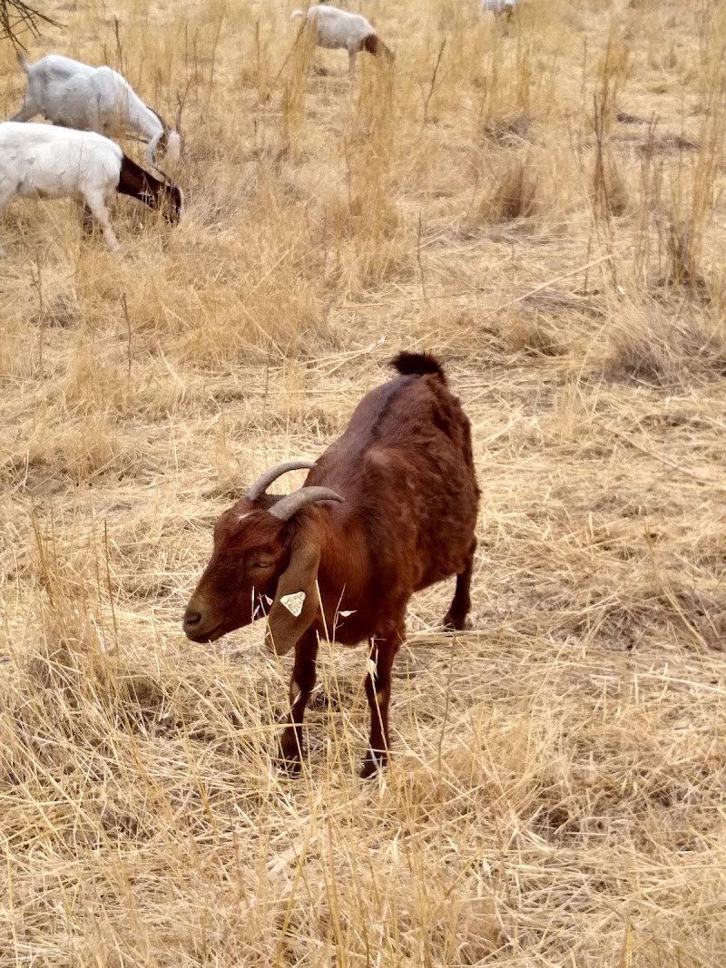Coyote Creek Trail photo 5