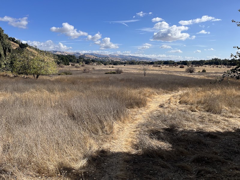 Coyote Creek Trail photo 2