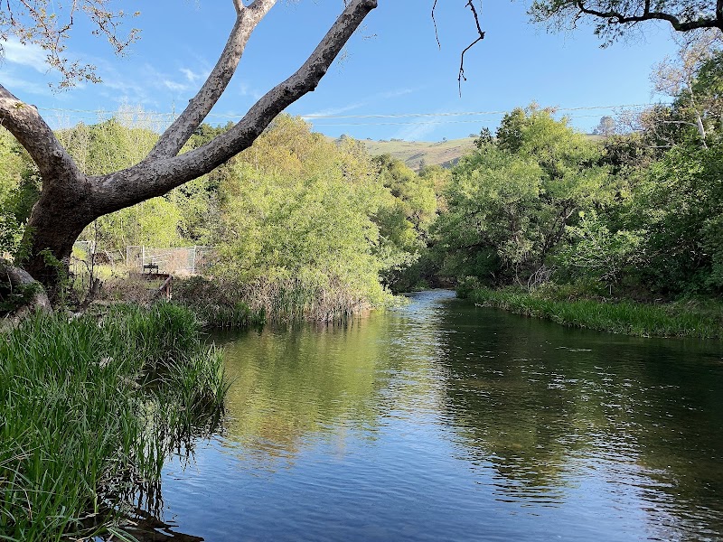 Coyote Creek Trail photo 3
