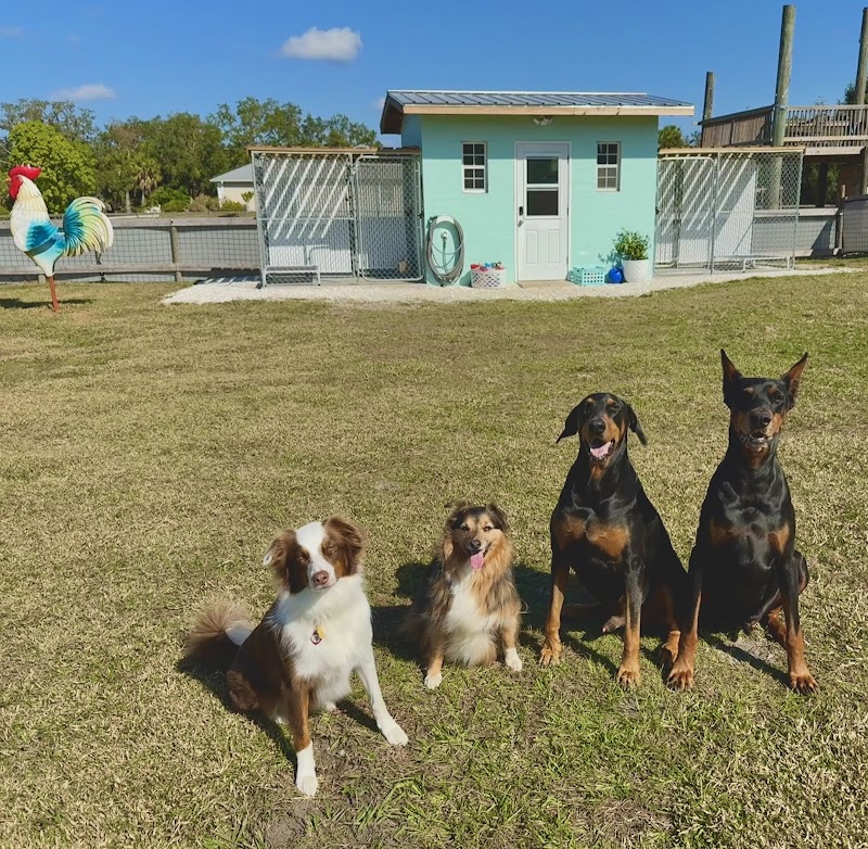 Thurber Farm Dog Boarding photo 2