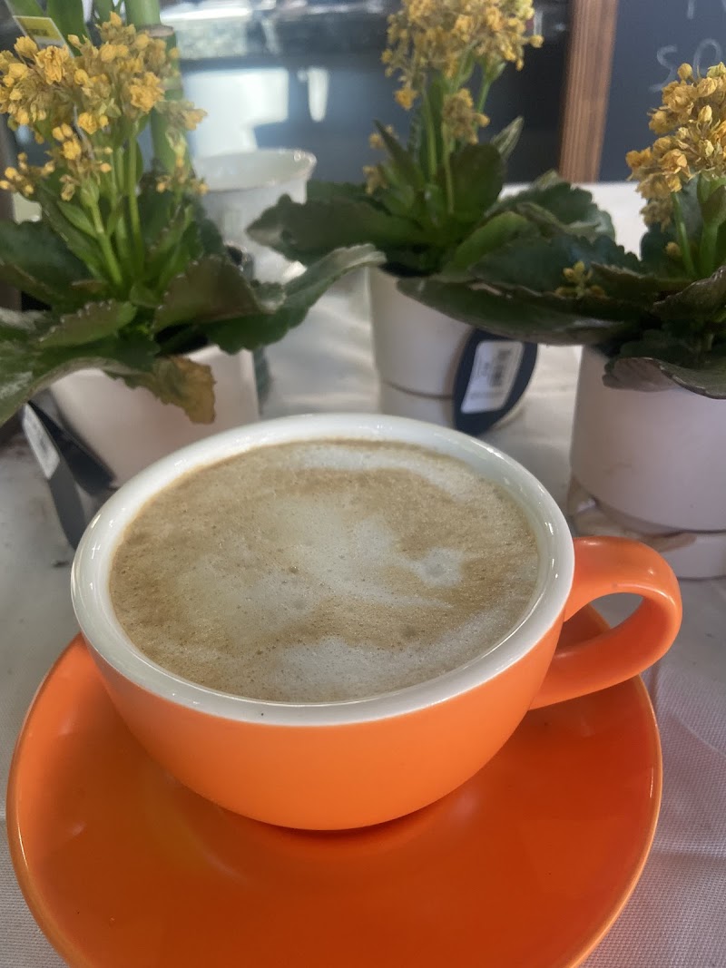 Nomi's Cafe photo 2