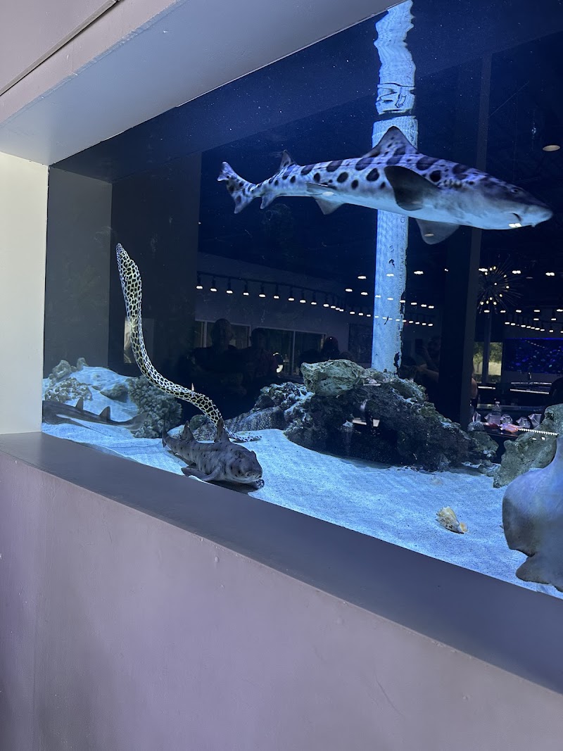 Boca Aquarium photo 4