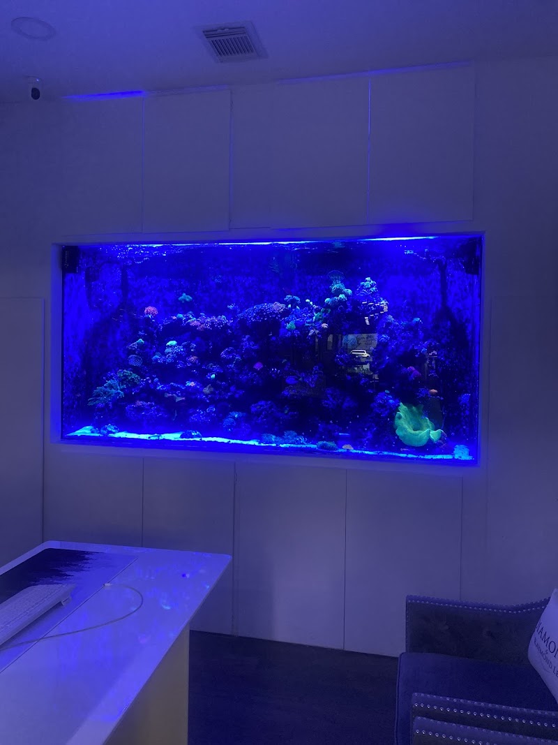 Boca Aquarium photo 2