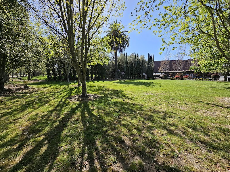 Photo of Sebastiani Circus Park