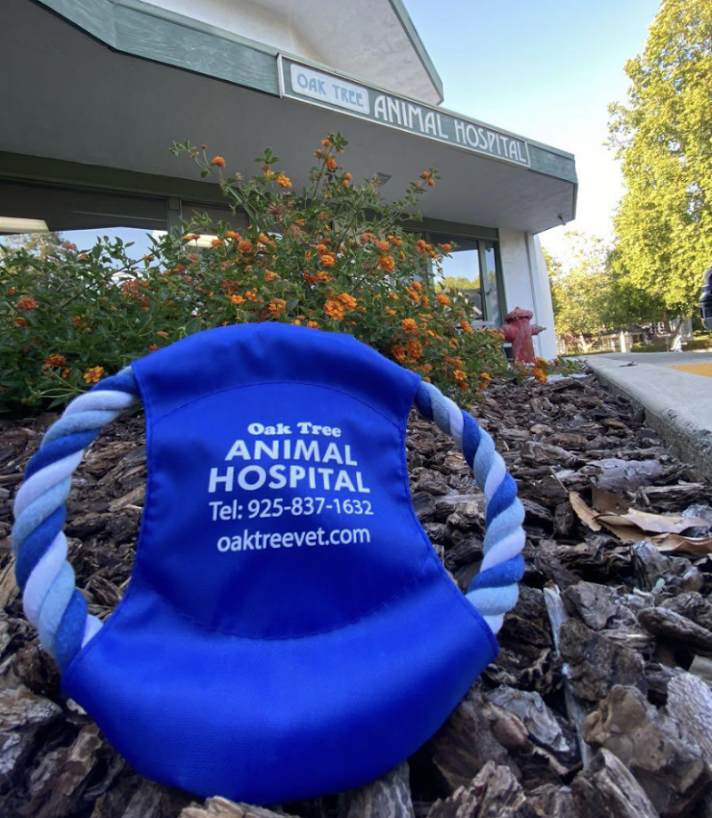 Photo of Oak Tree Animal Hospital