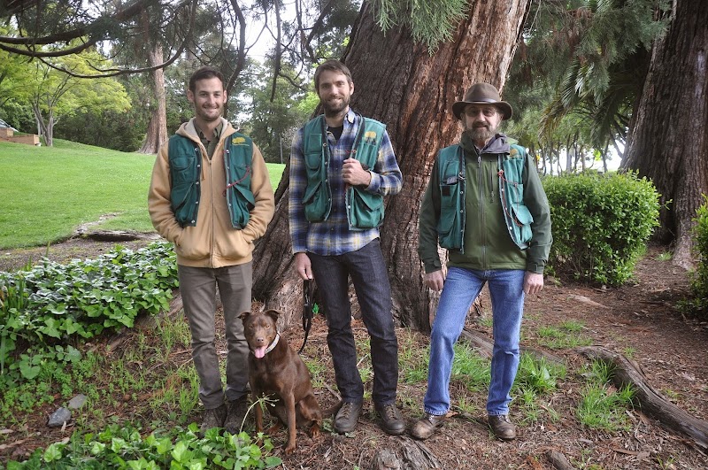 Photo of Urban Forestry Associates - Consulting Arborists