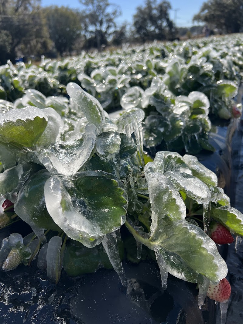 Favorite Farms, Inc. photo 4