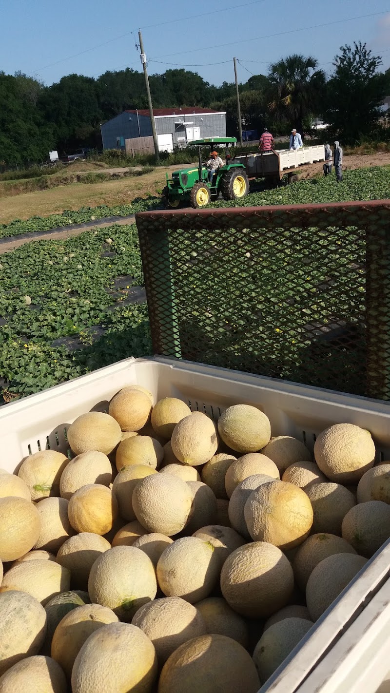 Favorite Farms, Inc. photo 5