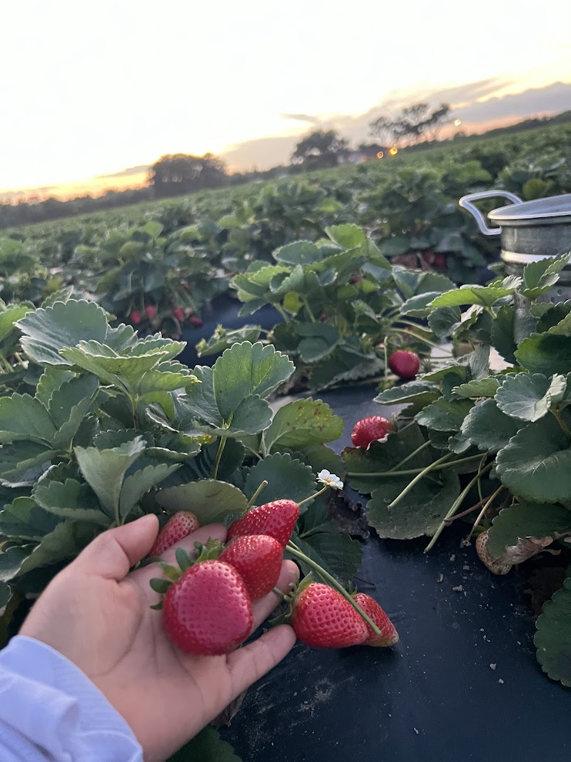 Favorite Farms, Inc. photo 2
