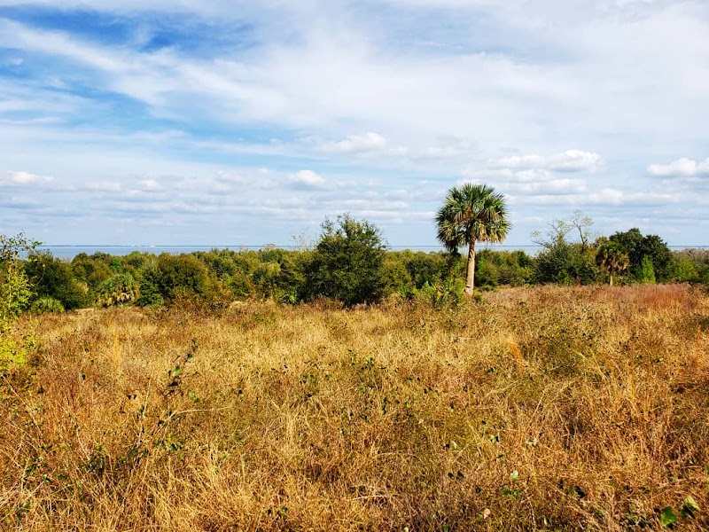 Ferndale Preserve photo 2