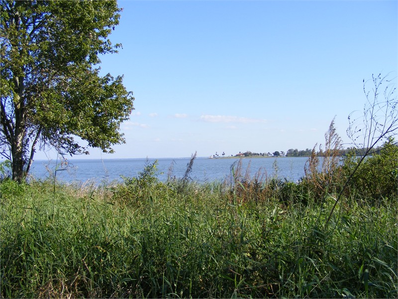 Photo of Ferndale Preserve