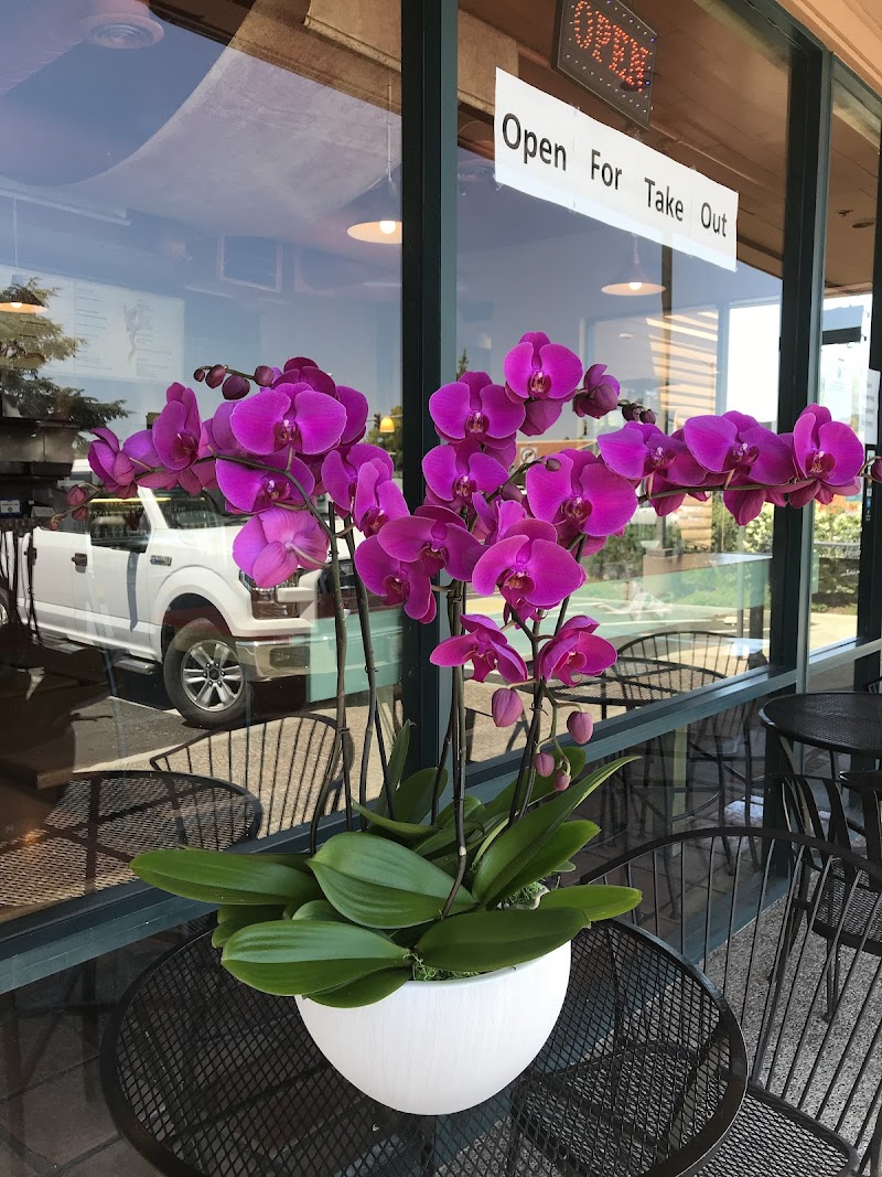 Melissa Orchid photo 2