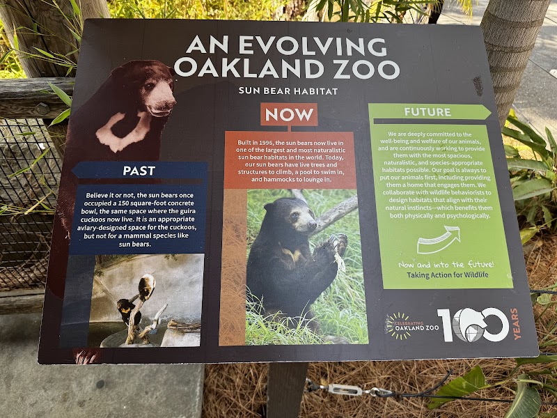 Sun Bear Canyon photo 2