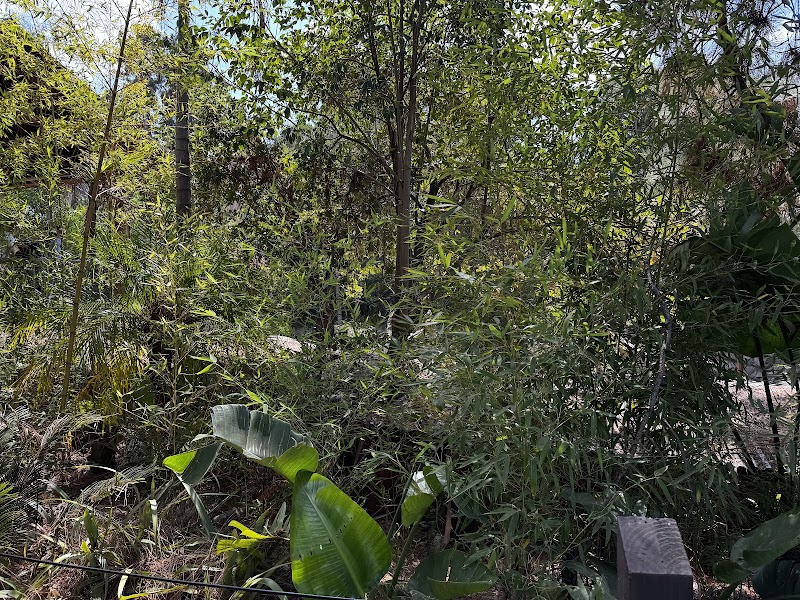 Sun Bear Canyon photo 4