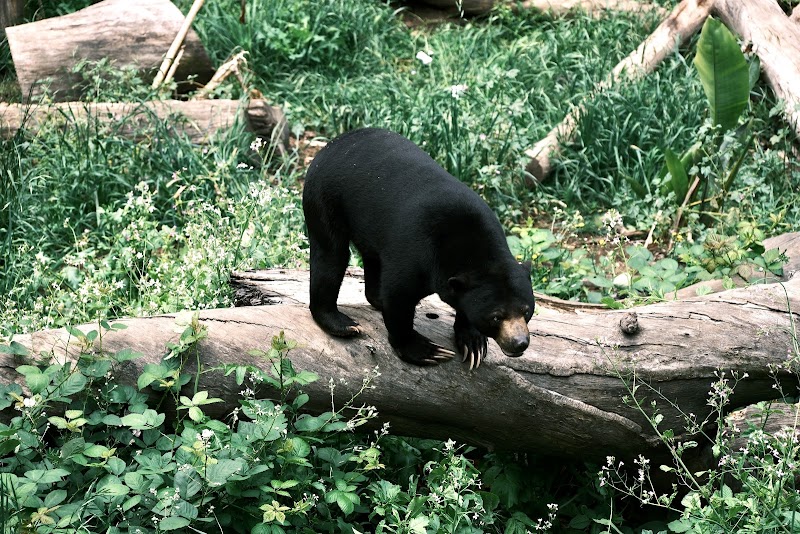 Photo of Sun Bear Canyon