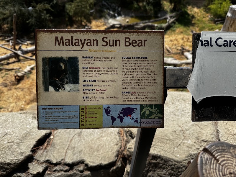 Sun Bear Canyon photo 3