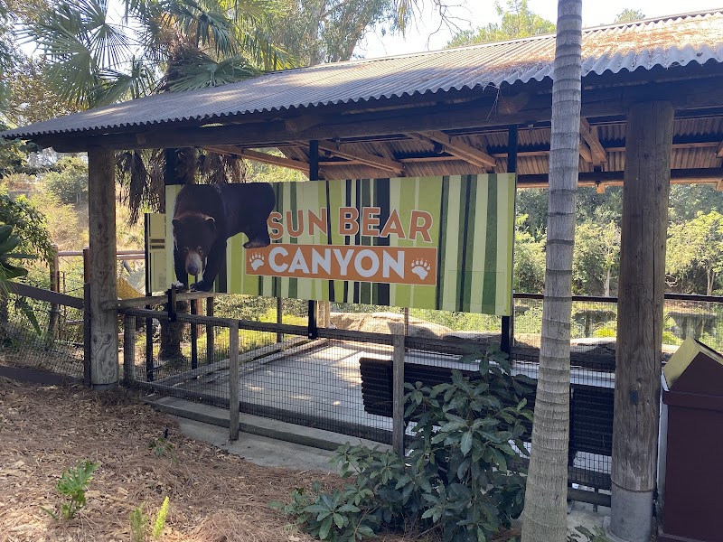 Sun Bear Canyon photo 5