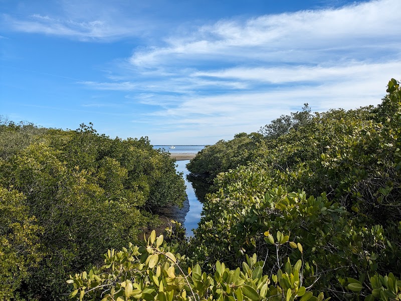 Safety Harbor Waterfront Park photo 5