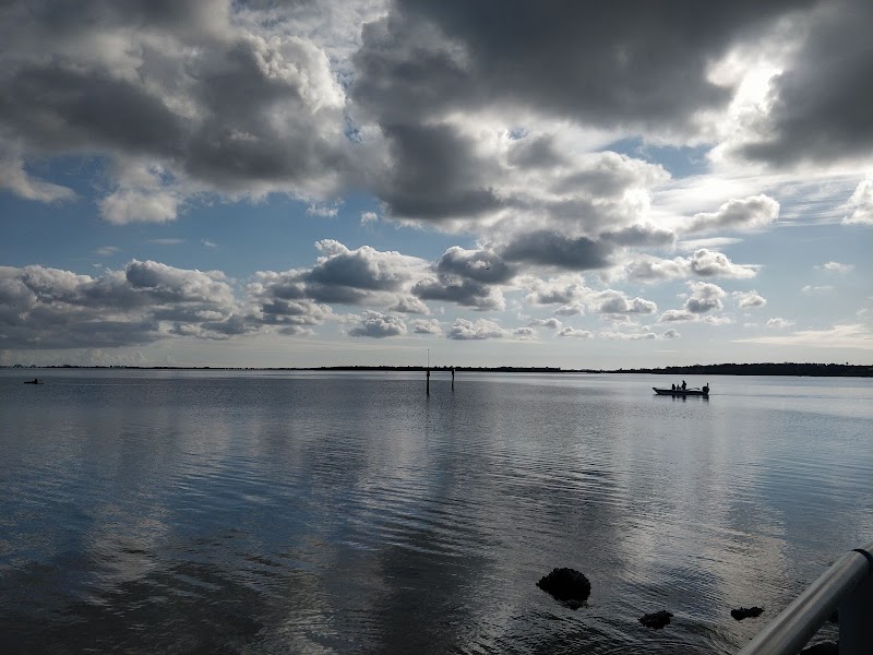 Safety Harbor Waterfront Park photo 2